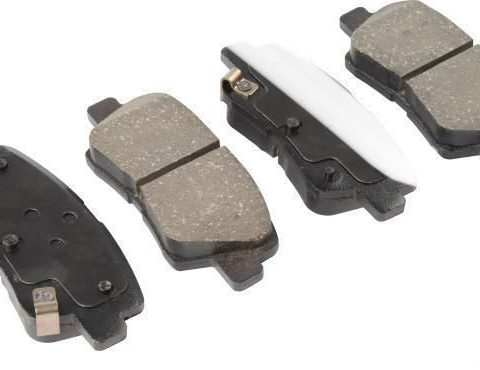 whatsapp image 2023 03 25 at 12.26.48