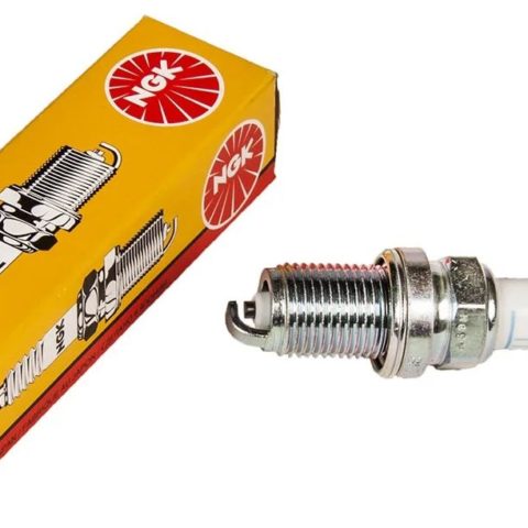 whatsapp image 2023 03 25 at 15.27.17