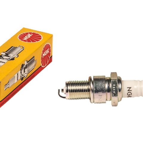 whatsapp image 2023 03 25 at 15.40.39